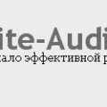 site_auditor